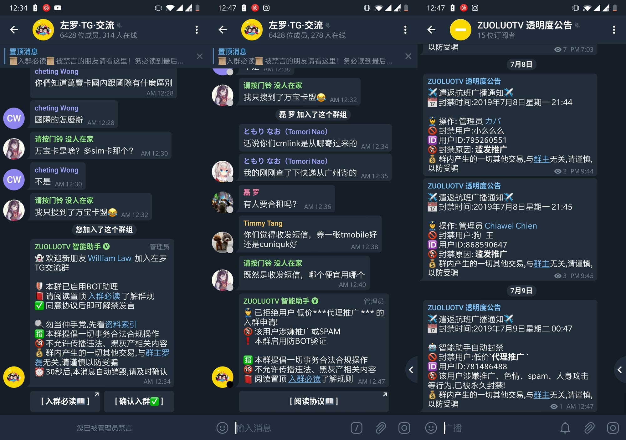 TG成品号
